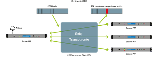 Los diferentes tipos de relojes - Transparent clock